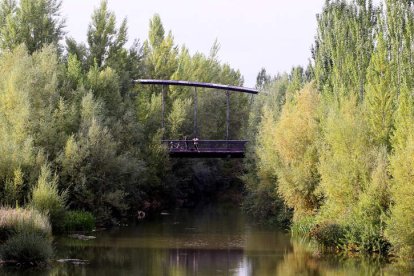 Las pasarelas que hay al norte del puente de San Marcos se encuentran engullidas por la abundante vegetación.