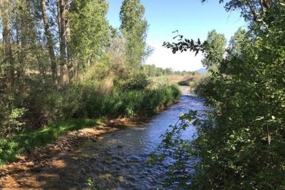 La Confederación Hidrográfica del Duero apuesta por un modelo comprometido con el futuro. DL