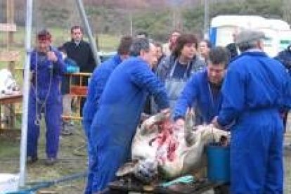 Los matarifes mostraron el estilo propio de la matanza