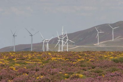 Imagen de un huerto solar. RAMIRO