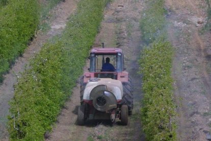 Un agricultor aplicando un tratamiento a una finca de frutales. ANA F. BARREDO