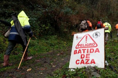 Imagen de la última cacería en el Parque Nacional de Picos de Europa, que se llevó a cabo en abril de 2021. FERNANDO OTERO