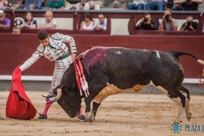 Navarro, lidiado por Fernando Robleño, causó expectación entre los aficionados ya antes de mostrar su buen juego. PLAZA 1/LAS VENTAS