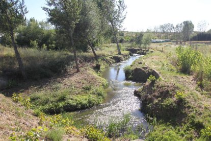 En el término municipal de Ponferrada la actuación se centrará en el arroyo de Los Barredos.