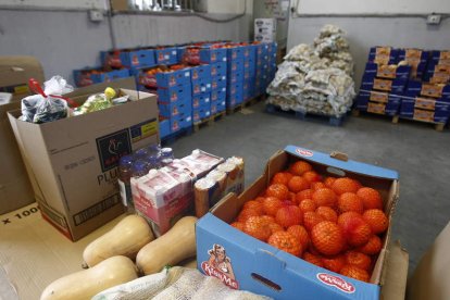 Fruta y otros productos básicos, en el almacén del Banco de Alimentos de León.