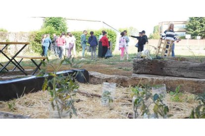 Los huertos escolares, como este del Ceip Gumersindo Azcárate, son una de las medidas para la adaptación al climático en los patios de recreo. J. NOTARIO