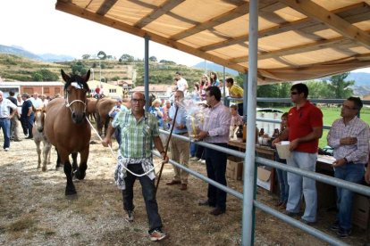 El diputado Francisco Garcia entrega un premio a  la ganadería Valdeón Liébana.