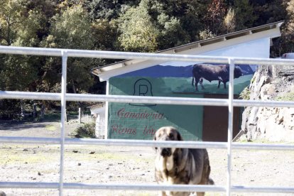 Imagen de la cuadra que la familia Rivas construyó sobre el cargadero de la MSP. MARCIANO PÉREZ