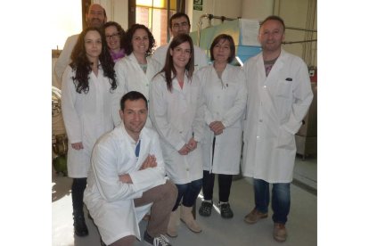 El equipo de la Universidad que analiza los efectos del ensilado en las características de los productos derivados de la leche de oveja. DL