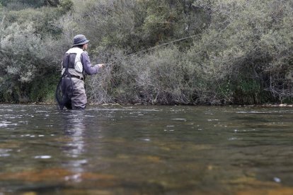 Un pescador en una jornada de la pasada temporada en uno de los muchos ríos leoneses. FERNANDO OTERO