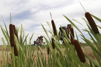 Dos peregrinos transitan por un tramo del Camino de Santiago. JESÚS F. SALVADORES