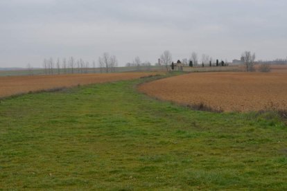 Camino al cementerio de Fontanil, lleno de hierba.