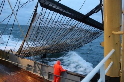 Pesquero holandés con redes equipadas con electrodos en el Mar del Norte.