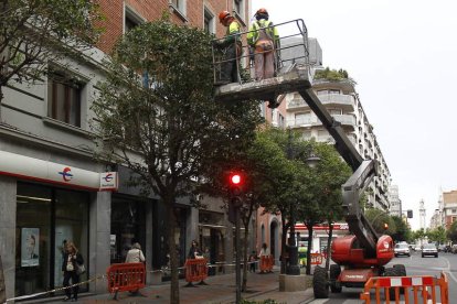 Operarios de jardines y zonas verdes. RAMIRO