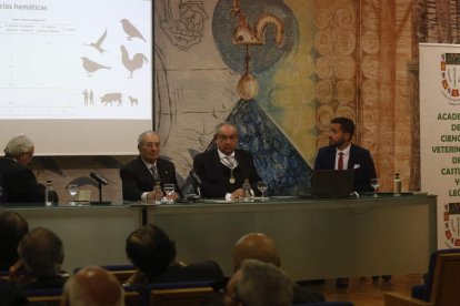 El acto tuvo lugar en el paraninfo Gordón Ordás del edificio El Albéitar. FERNANDO OTERO