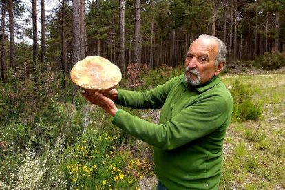 Eugenio Juan Gómez de Cantharellus, muestra el boletus pinícola de 28 centímetros de diámetro y 1,5 kilos. DL