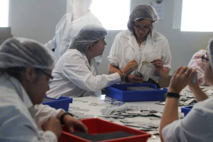 Mujeres con discapacidad en un centro de empleo de Asprona-León. RAMIRO