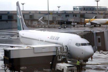 Un avión tipo Boeing 737 MAX 8.