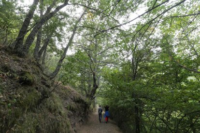 Una paseo por el Valle del Silencio protagoniza esta composición fotográfica en la que también hay imágenes de la carrera de montaña Tebaida Berciana en Peñalba de Santiago, la Villanueva Trail o los 101 kilómetros Peregrinos que concita a miles de ciclis