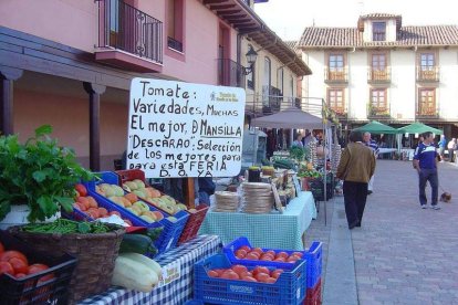 Los puestos que vendan tomates de Mansilla tendrán un lugar preferente en la plaza del Grano.