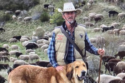 Gregorio Fidalgo con uno de sus mastines durante la primavera de 2019 en Lago de Omaña, en un fotograma del documental. DOKUMENT BERÁNEK A VLK