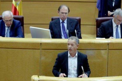 El presidente del Senado, Ander Gil, durante una intervención en la Cámara Baja. DL