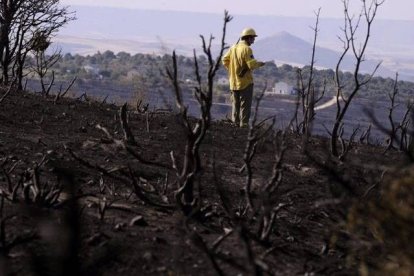 Más de 60 personas y 13 medios terrestres continúan trabajando en las labores de extinción del incendio que ayer se declaró en la pedanía de Aleas (Guadalajara).