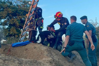 Rescate del perro Rony en la Virgen del Camino. BOMBEROS DE LEÓN.