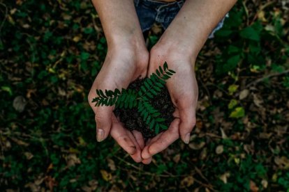 Punto Limpio León: cómo llegar, horario y teléfono Foto: Unsplash