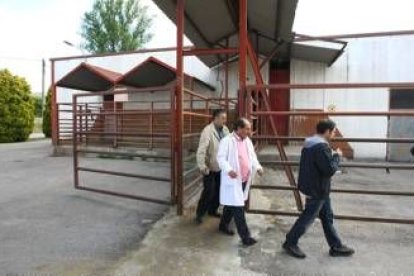 Imagen de archivo de una de las visitas realizadas por los técnicos veterinarios al matadero