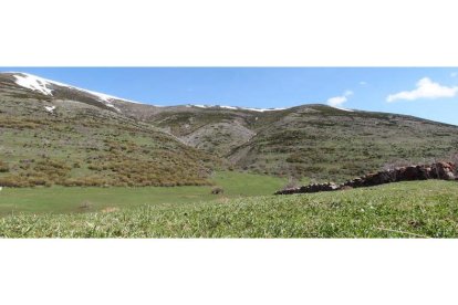 Paraje de pastos en Abelgas, en una imagen de archivo. SECUNDINO PÉREZ