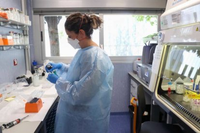 El laboratorio de arbovirus y enfermedades víricas importantes del Centro Nacional de Microbiología. KIKO HUESCA