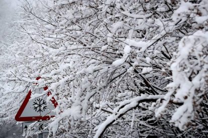 La nieve regresa mañana a León pero sin excesivas complicaciones