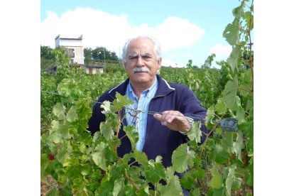 Gabriel Merayo Feliz, en la viña de Viña Albares, con el torreón que mandó construir Antolín López Peláez y que ahora es el símbolo de la bodega al fondo.