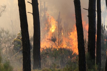 Imagen de archivo de un incendio declarado en la provincia. JESÚS F. SALVADORES