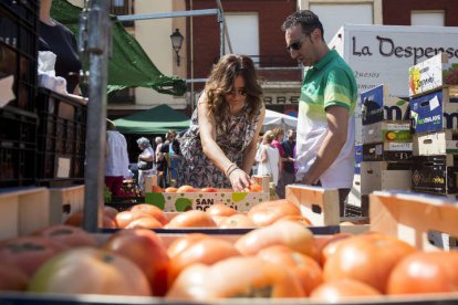 Feria del tomate en Mansilla de las Mulas. F. Otero Perandones.