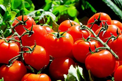 Tomates de temporada para disfrutar durante el verano