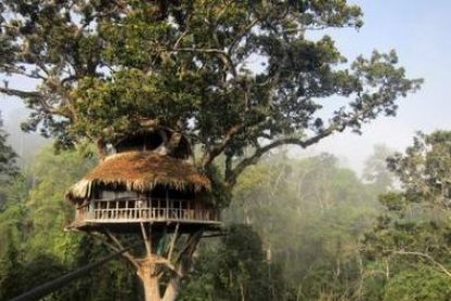 Las cabañas están situadas a unos 40 metros de altura sobre el suelo, colgadas de los árboles.