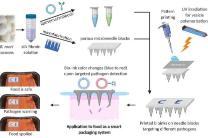 El sensor de alimentos con forma de velcro y hecho de una serie de microagujas de seda, puede perforar los envases de plástico. mit