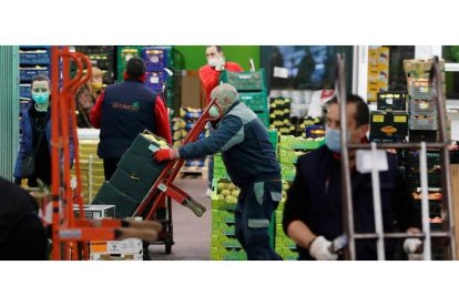 Las instalaciones de Mercaleón, en la salida sur de la ciudad, se inauguraron en el año 1993 para dotar a la ciudad de un mercado mayorista. RAMIRO