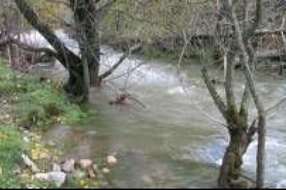 El río Dueñas de Lois aún mantiene un elevado caudal