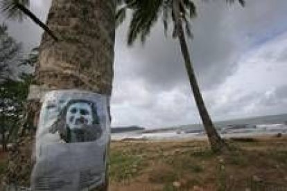 La foto de una turista desaparecida en el tsunami permanece en una palmera de Tailandia