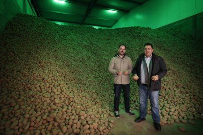 César Pan y Julio Martín, en una de las cámaras de almacenamiento de patata. JESÚS