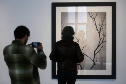 'La naturaleza de las cosas' de Chema Madoz podrá ser visitada en El Palacín hasta el 30 de junio. FERNANDO OTERO