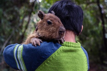 Un niño abraza a su mascota.