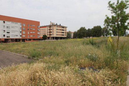 La parcela aneja al centro deportivo de Eras estaba destinada para un campo de fútbol 7.