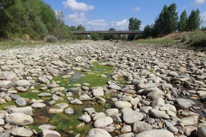 El río Torío a su paso por Villanueva de las Manzanas presenta un penoso estado.