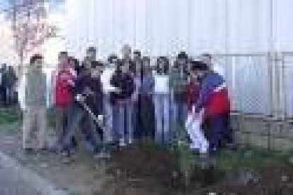 Los alumnos de Santa María de Carrizo, durante el Día del Árbol