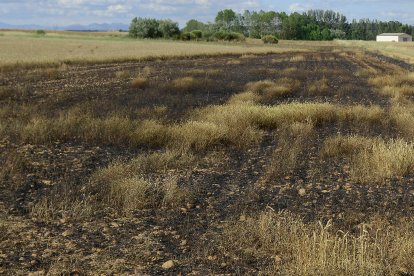 Una de las fincas quemadas por el fuego del viernes en Villalmán. ACACIO