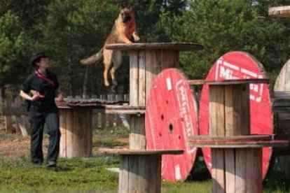 El castillo de alturas es una de las pistas de trabajo para entrenar a nueve perros de la UME